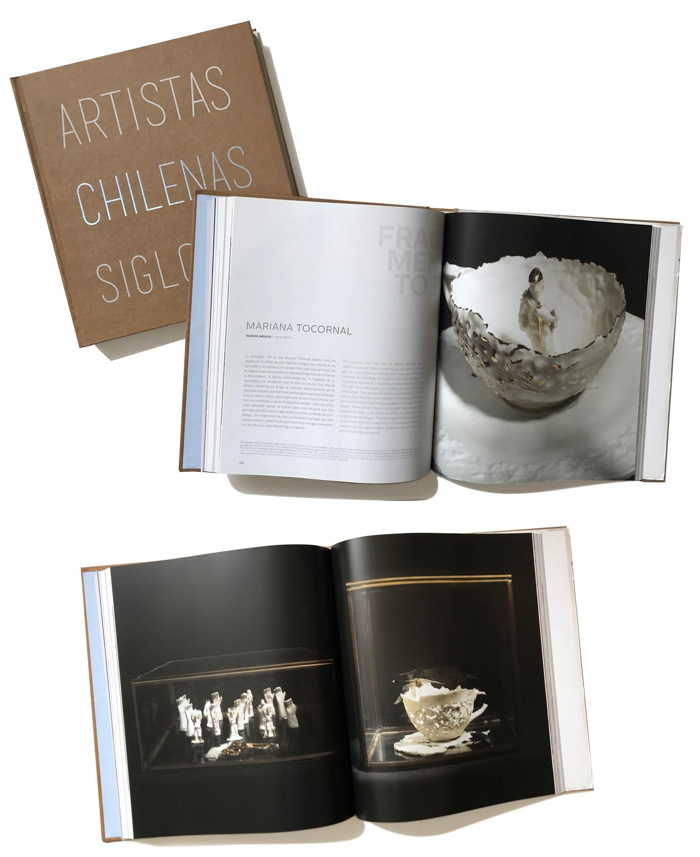Libro Artistas Chilenas Siglo XXI